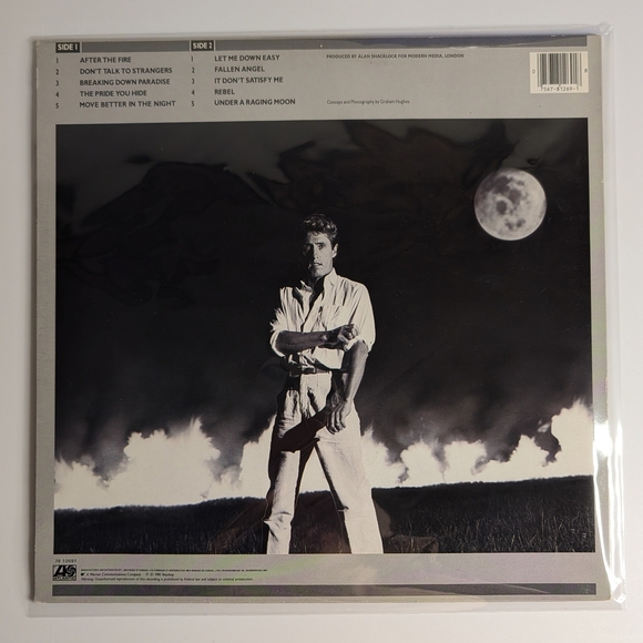 Vintage Rock Vinyl Record LP Lot- Bob Seger, Nazareth, The Cars, Rita Coolidge - Picture 13 of 13